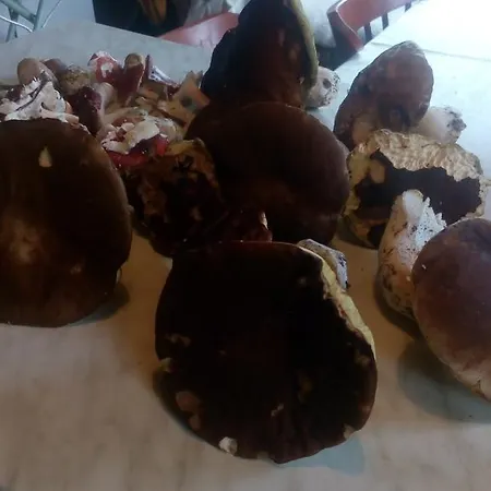 U Tri Kocek Πανσιόν 4*