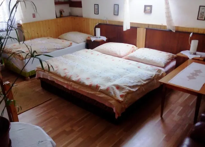 U Tri Kocek Guest house