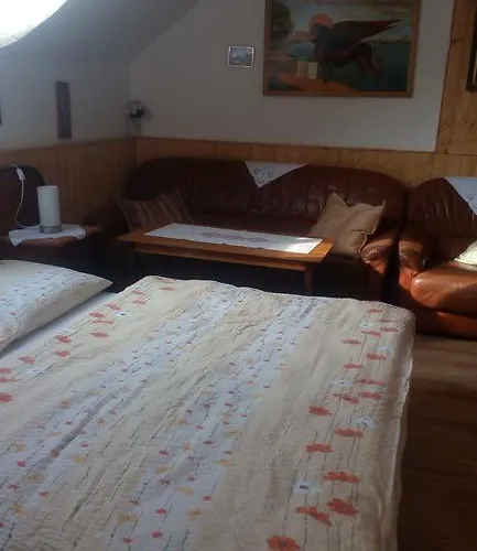 Guest house U Tri Kocek 4*